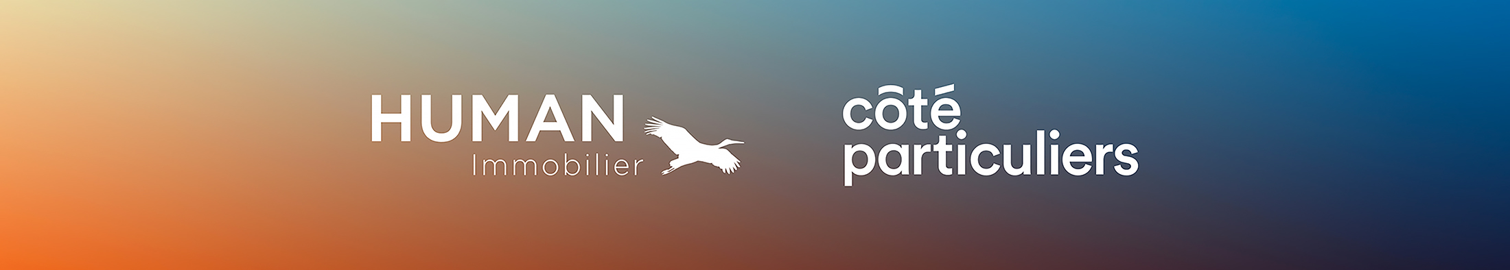 3 modèle 1 collectif